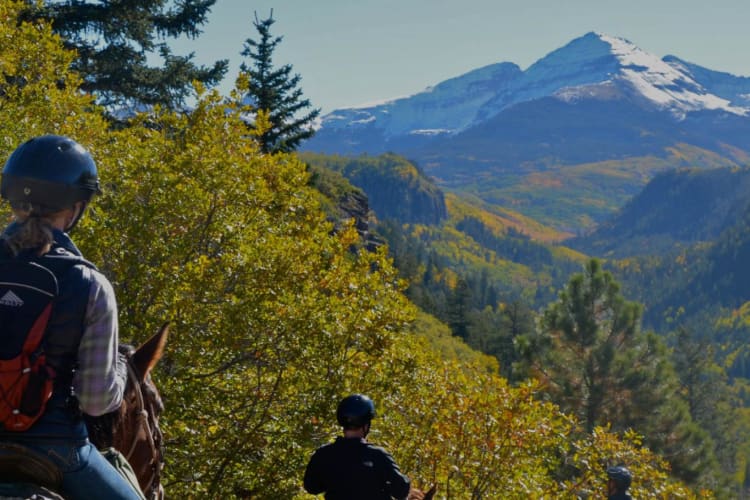 Horseback riding